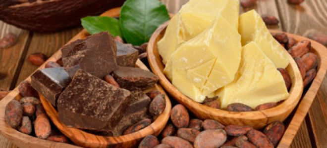 Полезно ли масло какао и как его использовать?